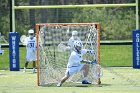 MLax vs Clark  Men’s Lacrosse vs Clark University. : Wheaton, LAX, MLax, Lacrosse